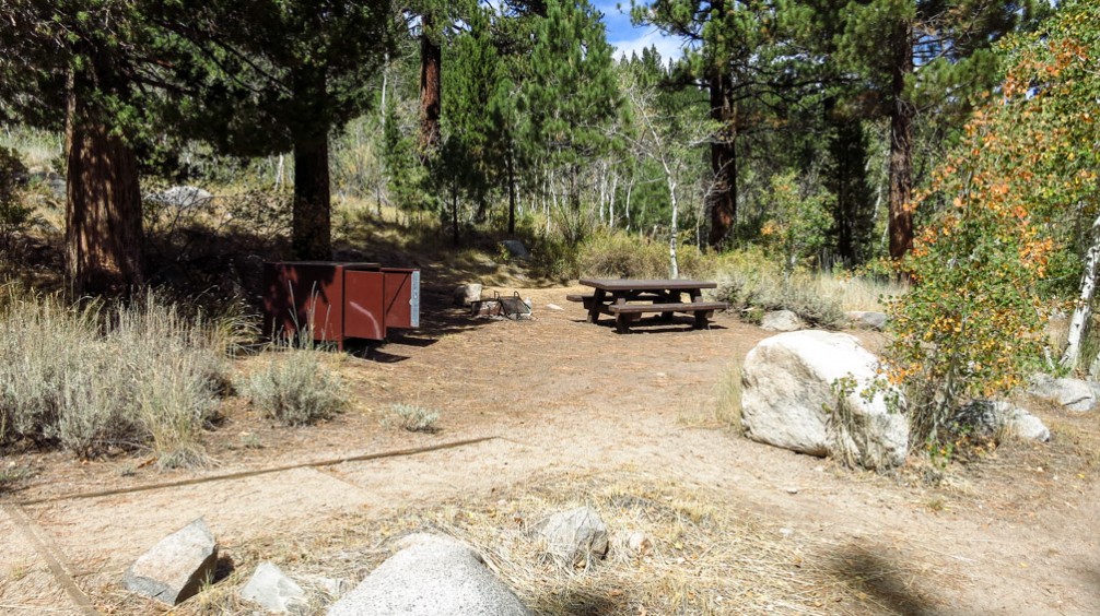 Leavitt Meadows Campground - 395 Guide