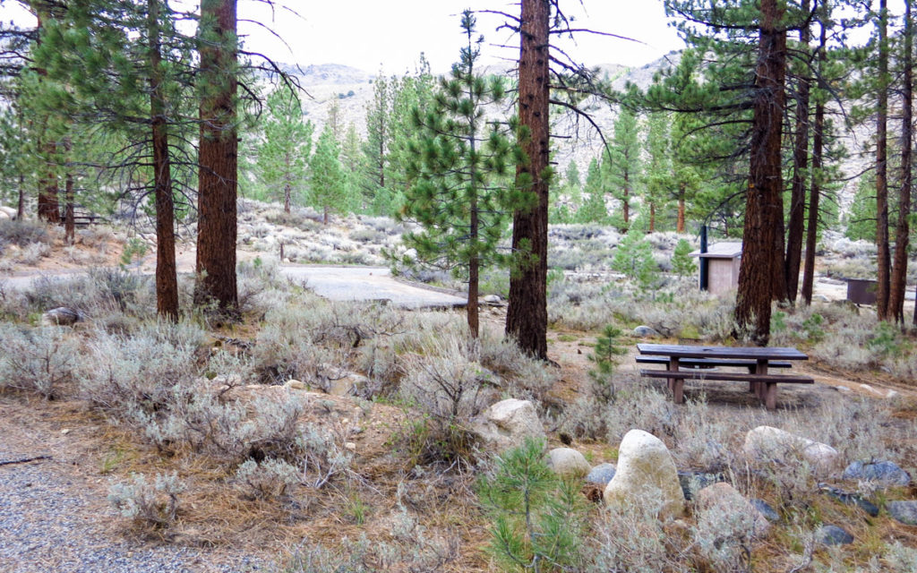 Escape to Colorado's Hidden Gem: Buckeye Campground