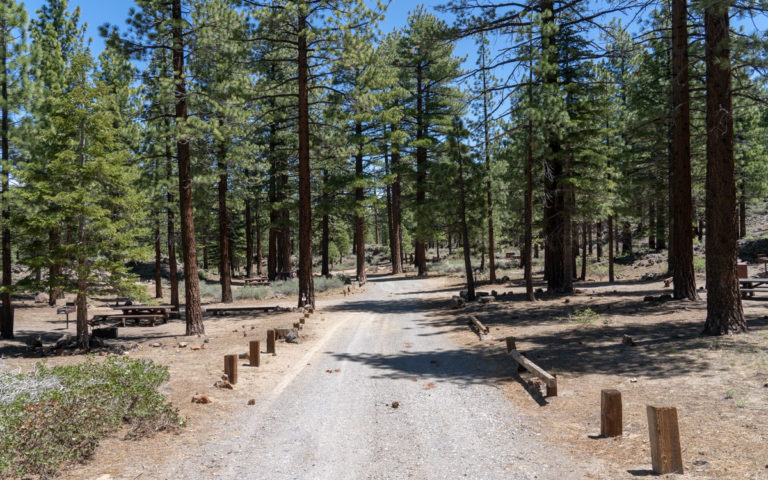 Escape to Serenity: Sherwin Creek Campground, Your Northern California Oasis